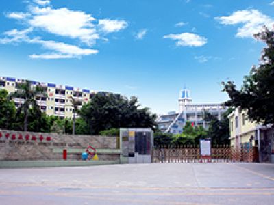 深圳市龙华中英文实验学校