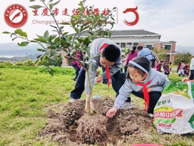 多彩远恒佳|植绿启新，共育美好——重庆市远恒佳学校义教部开展“我与小树共成长”主题植树活动